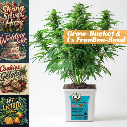 Grow Bucket super Soil mineralic